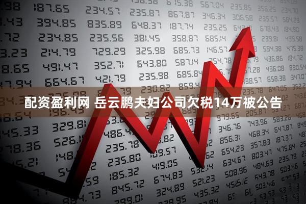 配资盈利网 岳云鹏夫妇公司欠税14万被公告